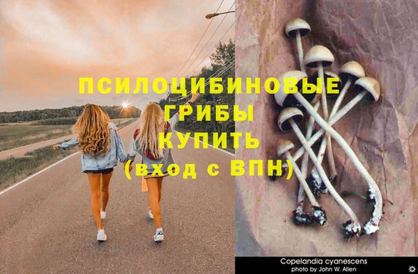 метадон Баксан