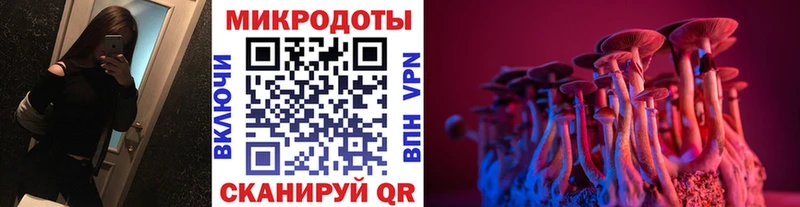 дарнет шоп  Холм  Галлюциногенные грибы Psilocybe 